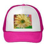 Daisy Hat