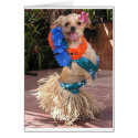 Daisy II - Hula Daisy cards