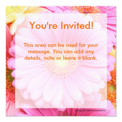 Daisy Invitations - Pink Gerber Daisy