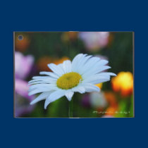 Daisy! powis icase