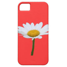 Daisy iPhone Case iPhone 5 Case