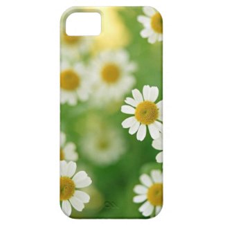 Daisy Iphone case
