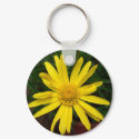 Daisy keychains