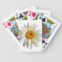 Daisy Looking Up Playing Cards