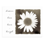 daisy love postcards