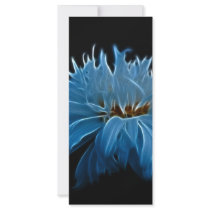 Daisy Love rack cards