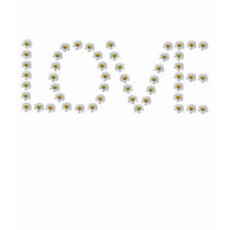 daisy love t-shirts