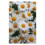 Daisy Lovers Customized Stationery