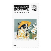 Daisy-Mae Dawg postage by Dollinha Daisy-Mae Dawg postage