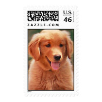 Daisy Mae postage by LeighMarin Daisy Mae postage