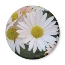 Daisy Magnet