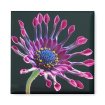 Daisy magnets