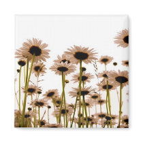 Daisy magnets by patricia_lane80 Daisy magnets