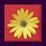 Daisy Magnet