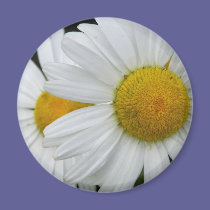 Daisy magnets