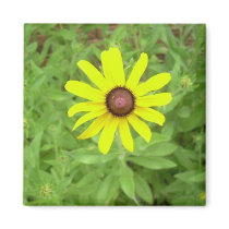 daisy magnet-1