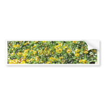 daisy may bumper stickers by ArtKeptSimple daisy may bumper stickers