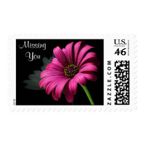 Daisy Missing you Postage postage by forbes1954 Daisy Missing you Postage postage