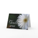 Daisy Mother's Day ... cards