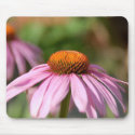 Daisy Mousepad