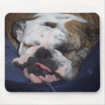 Daisy Mouse Mats