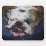 Daisy mousepads