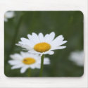 Daisy Mousepad by Chezbriand Daisy Mousepad