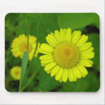 Daisy mousepads