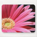 Daisy Mousepad