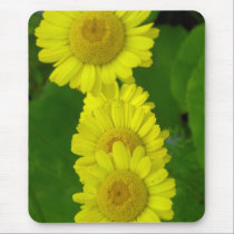 Daisy mousepads