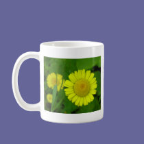 Daisy mugs