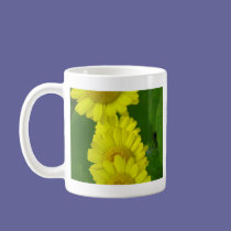 Daisy mugs