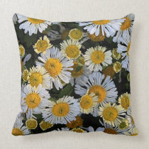 'Daisy Mums' pillows