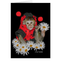 Daisy Muncher Cards