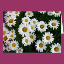 Daisy Note Card cards