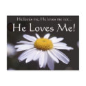 Daisy on Black Background postcards by TrevorStar Daisy on Black Background postcards