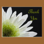 Daisy on Black Thank You postcards