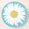 Daisy on Blue | Floral Sandstone Coaster