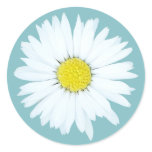 Daisy on Blue Flower Envelope Seal / Sticker