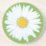 Daisy on Green | Floral Sandstone Coaster