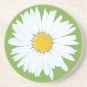 Daisy on Green | Floral Sandstone Coaster