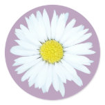 Daisy on Purple Flower Envelope Seal / Sticker