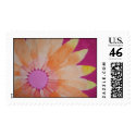 daisy painting postage