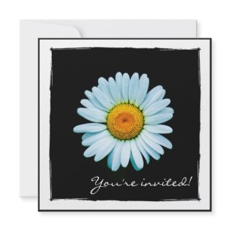 Daisy Party Invitation invitation