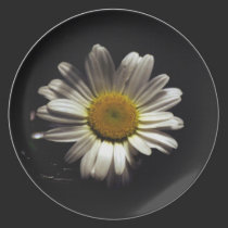 Daisy plates