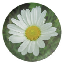 Daisy Party Plates