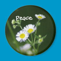 Daisy Peace Magnet