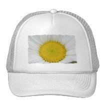 Daisy Photo hats
