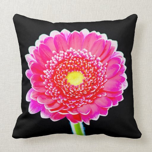 Daisy Pillow