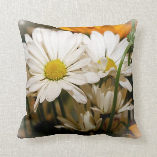 daisy pillow